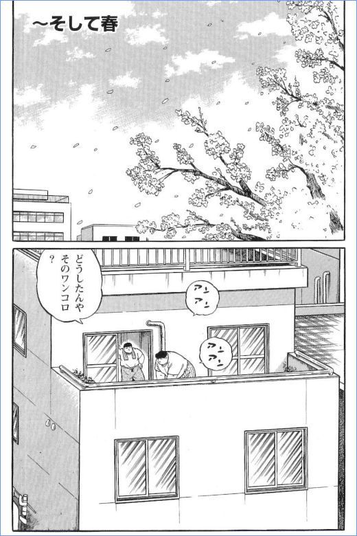 第 43 页