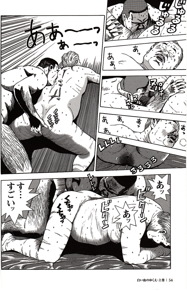 第 52 页