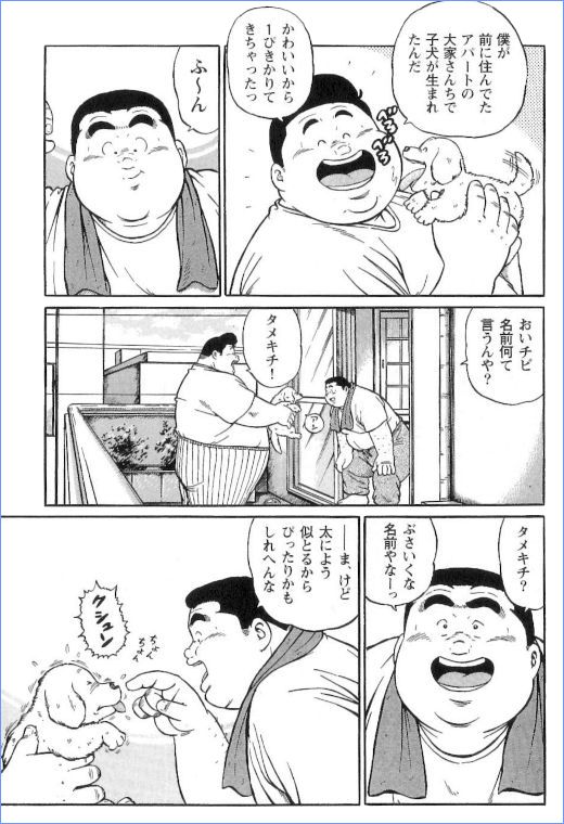 第 44 页