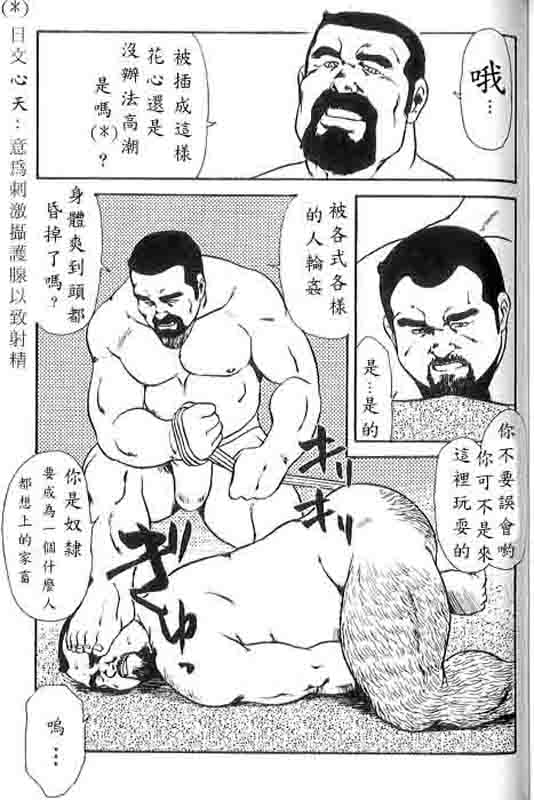 第 48 页