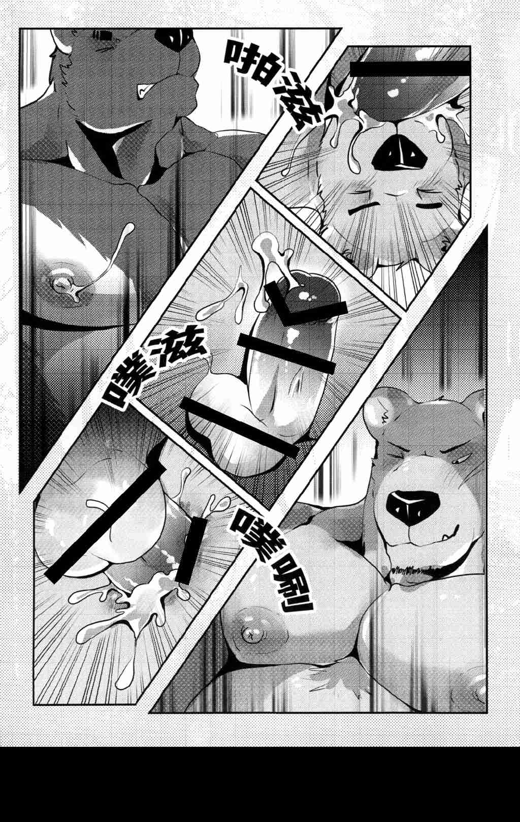 第 41 页