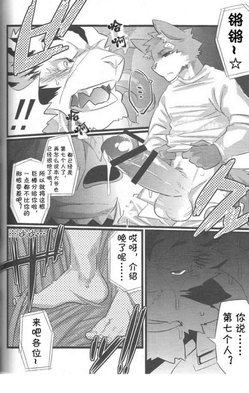 第 17 页