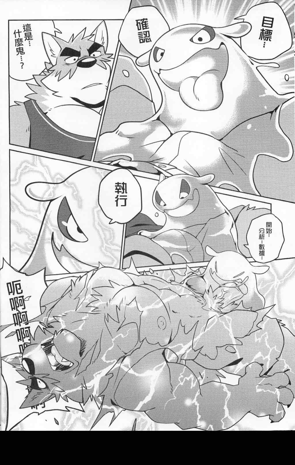 第 7 页