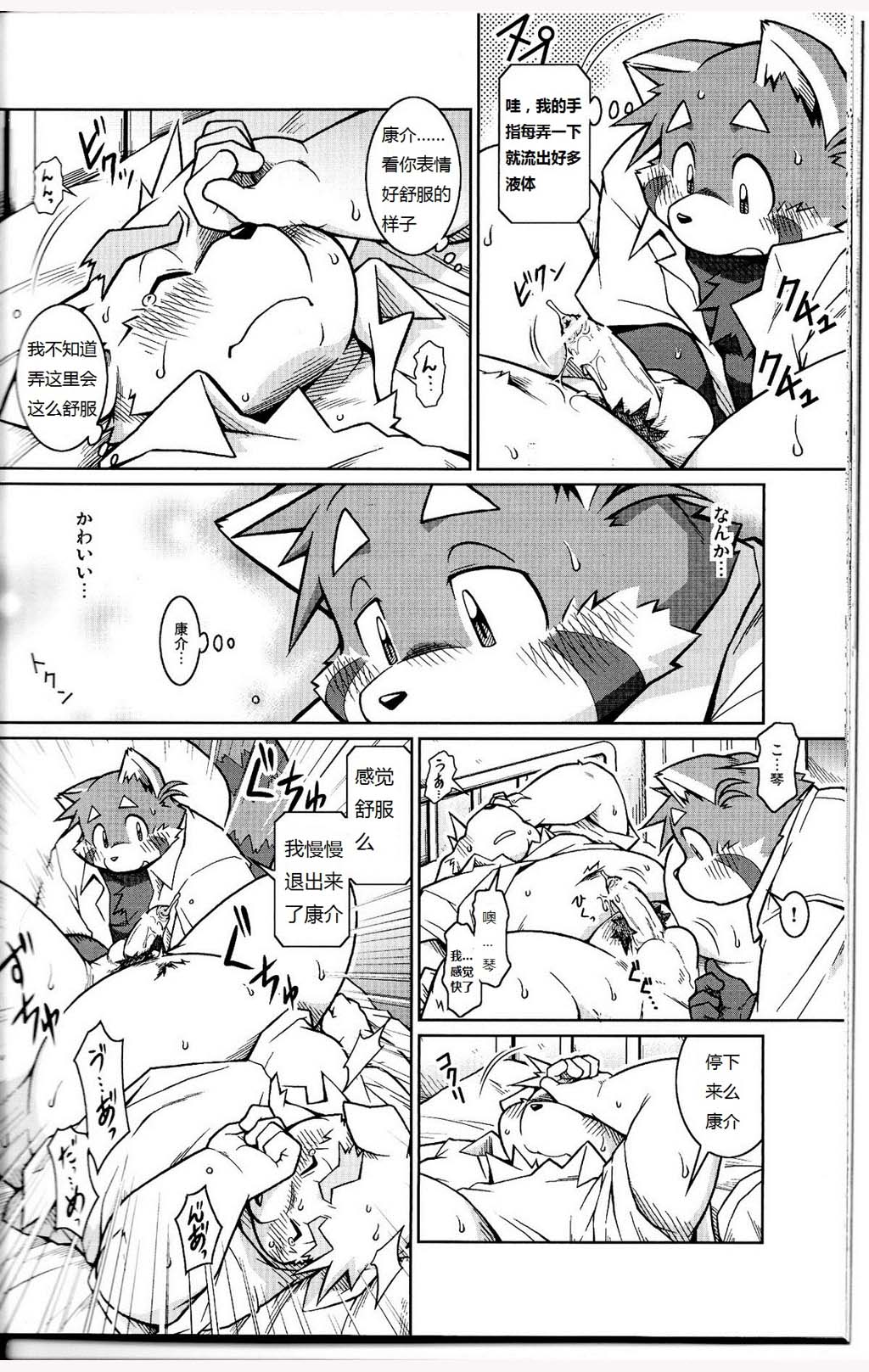 第 36 页