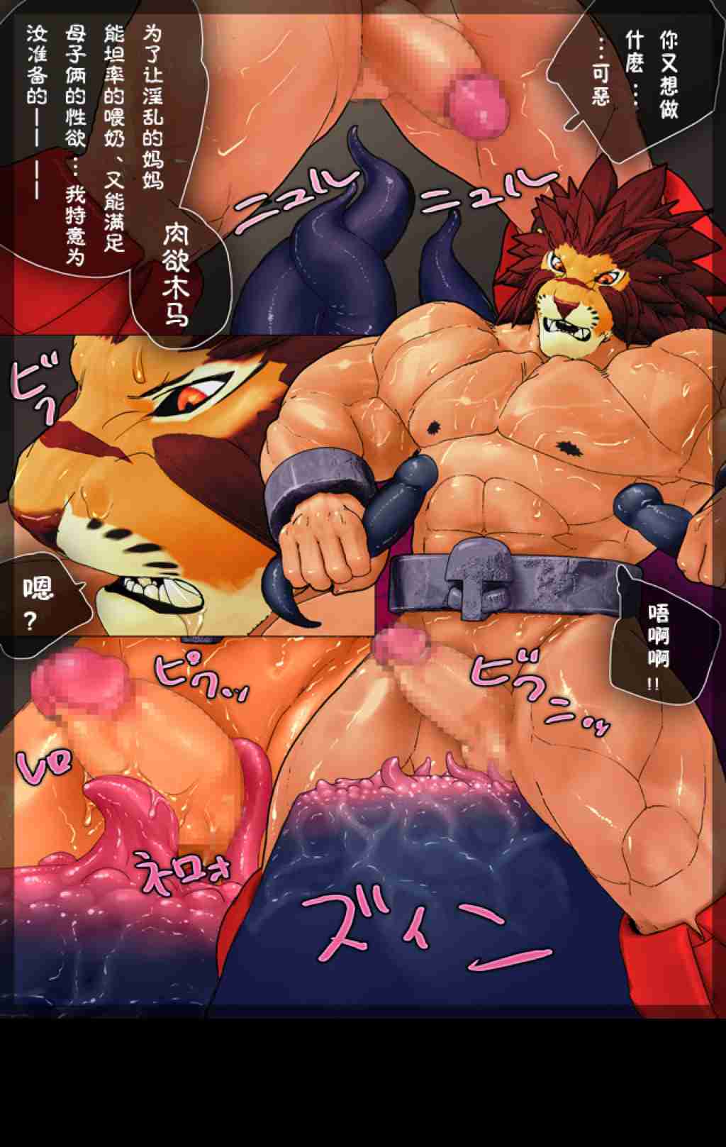 第 17 页