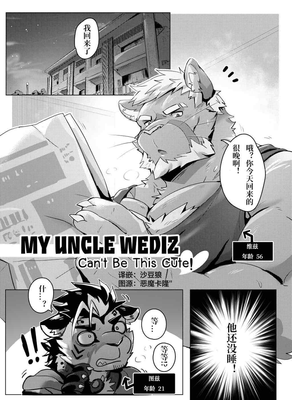 我的叔叔维兹不可能这么可爱