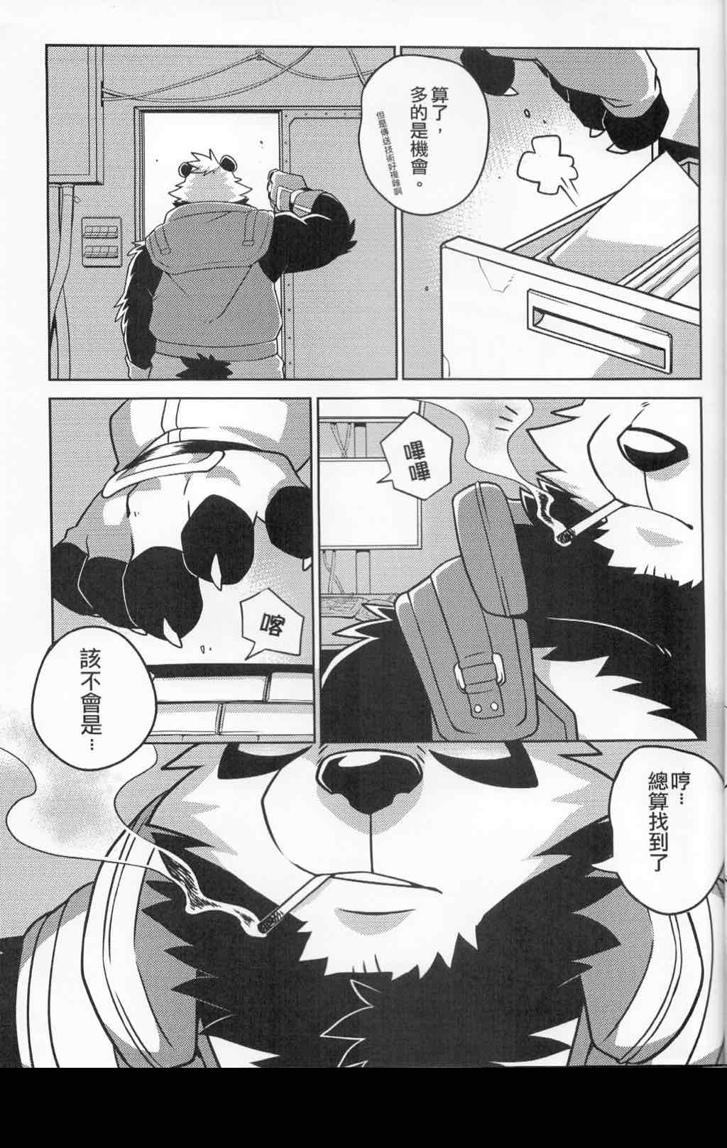 第 17 页