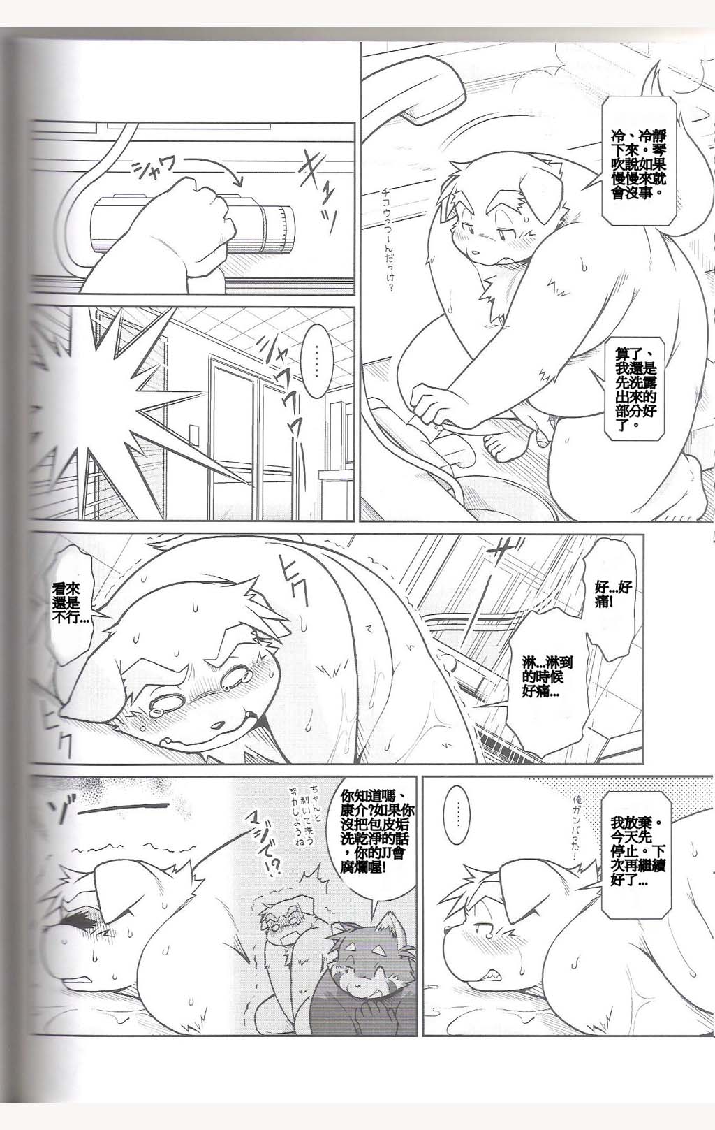 第 31 页