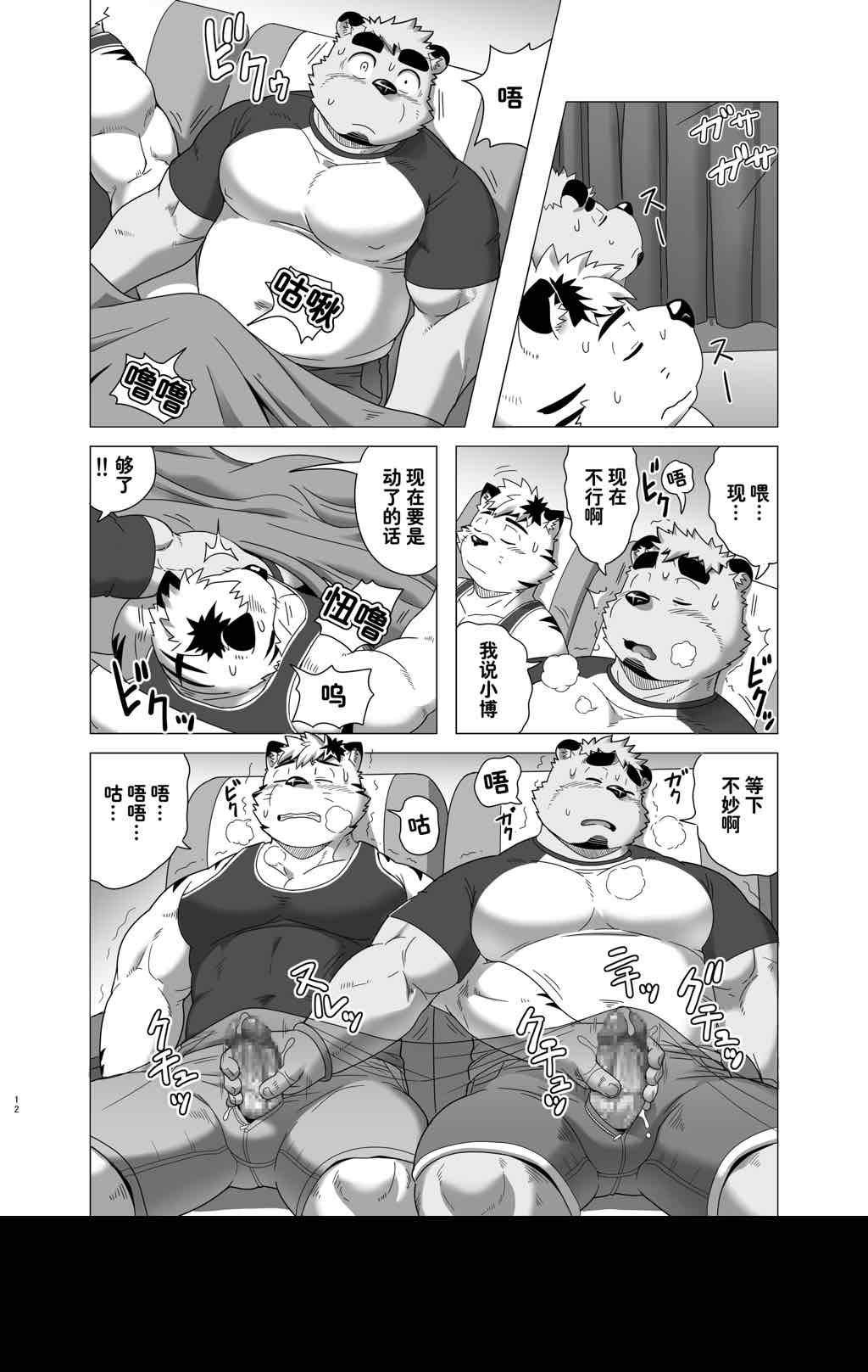 第 12 页