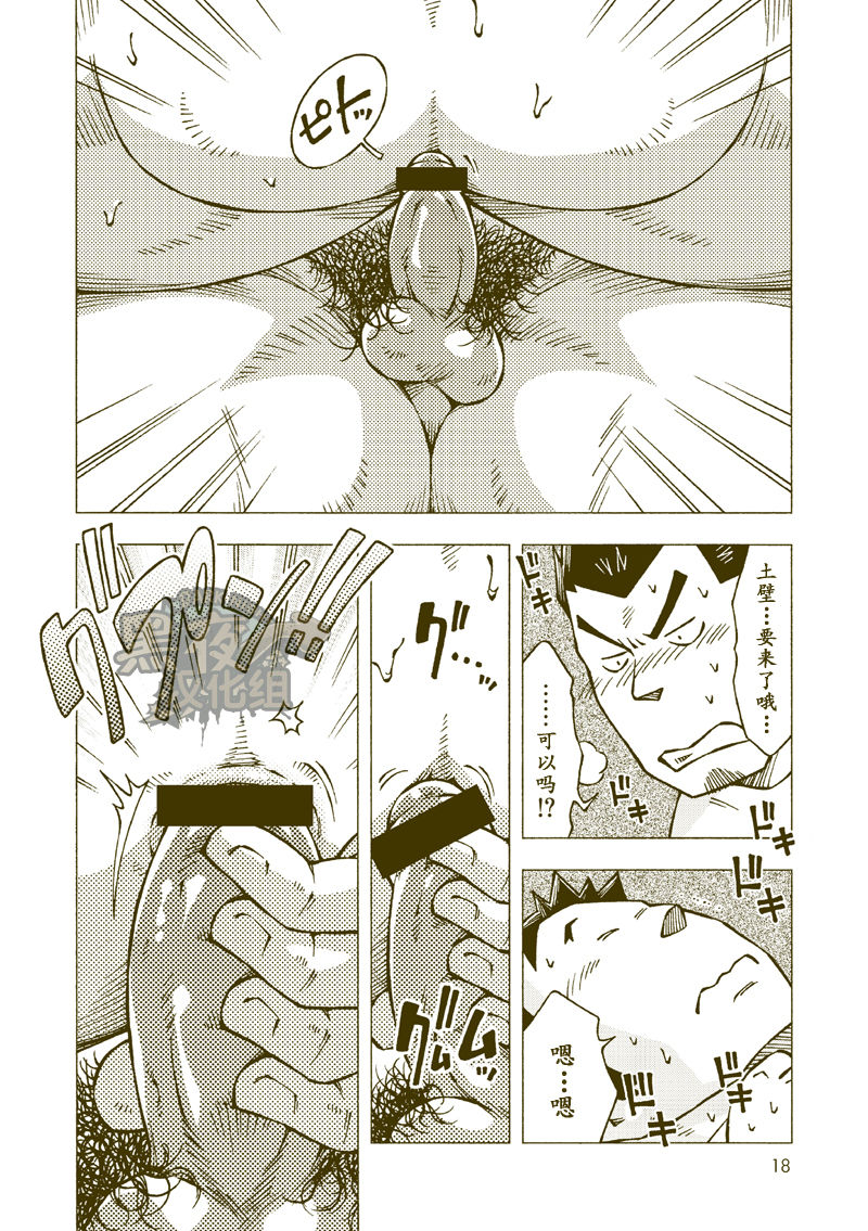 第 17 页