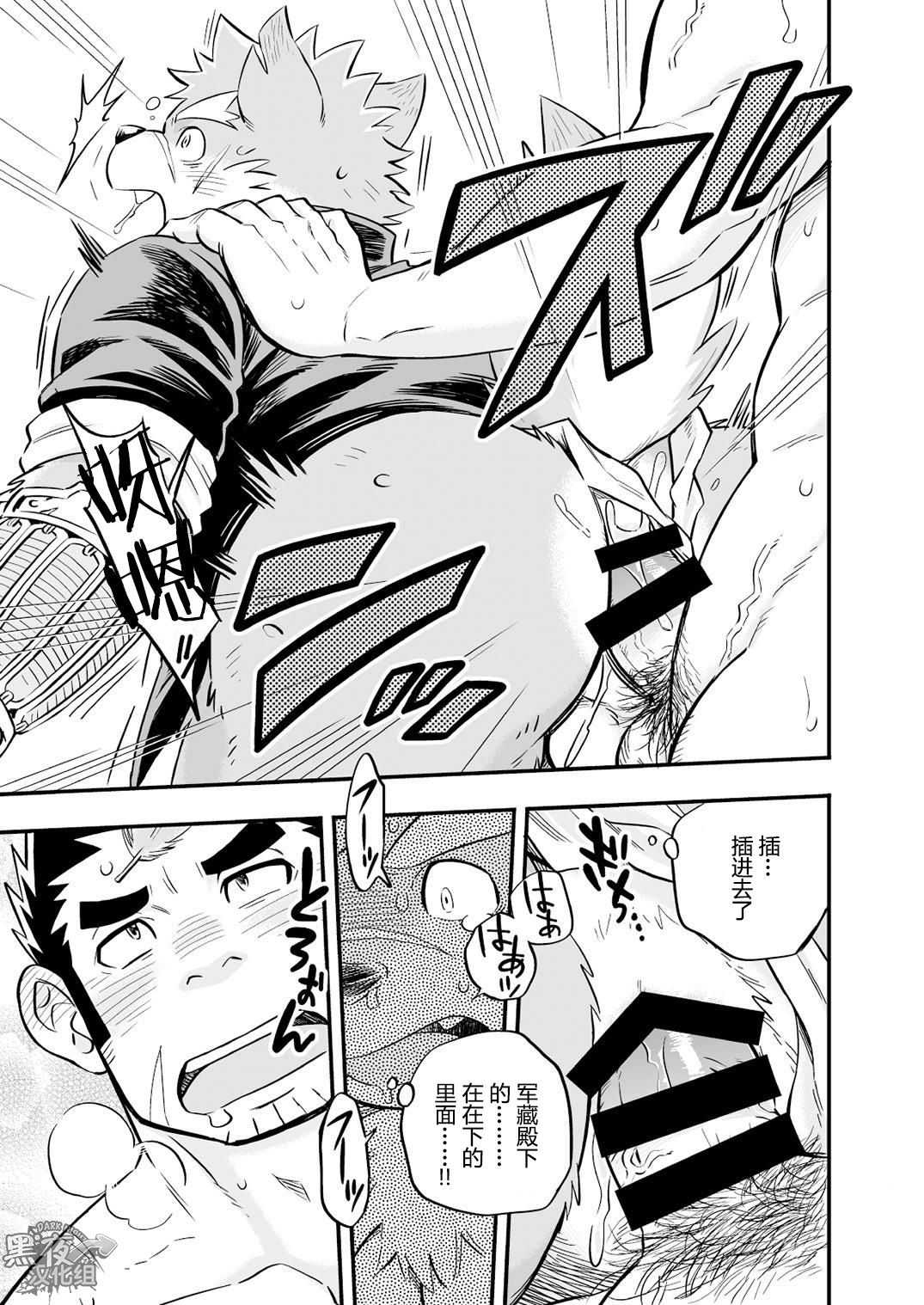 第 26 页