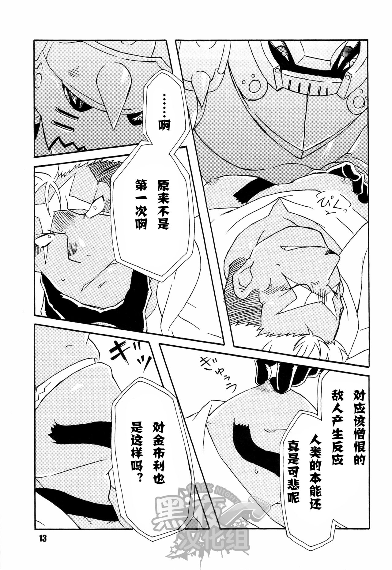 第 13 页