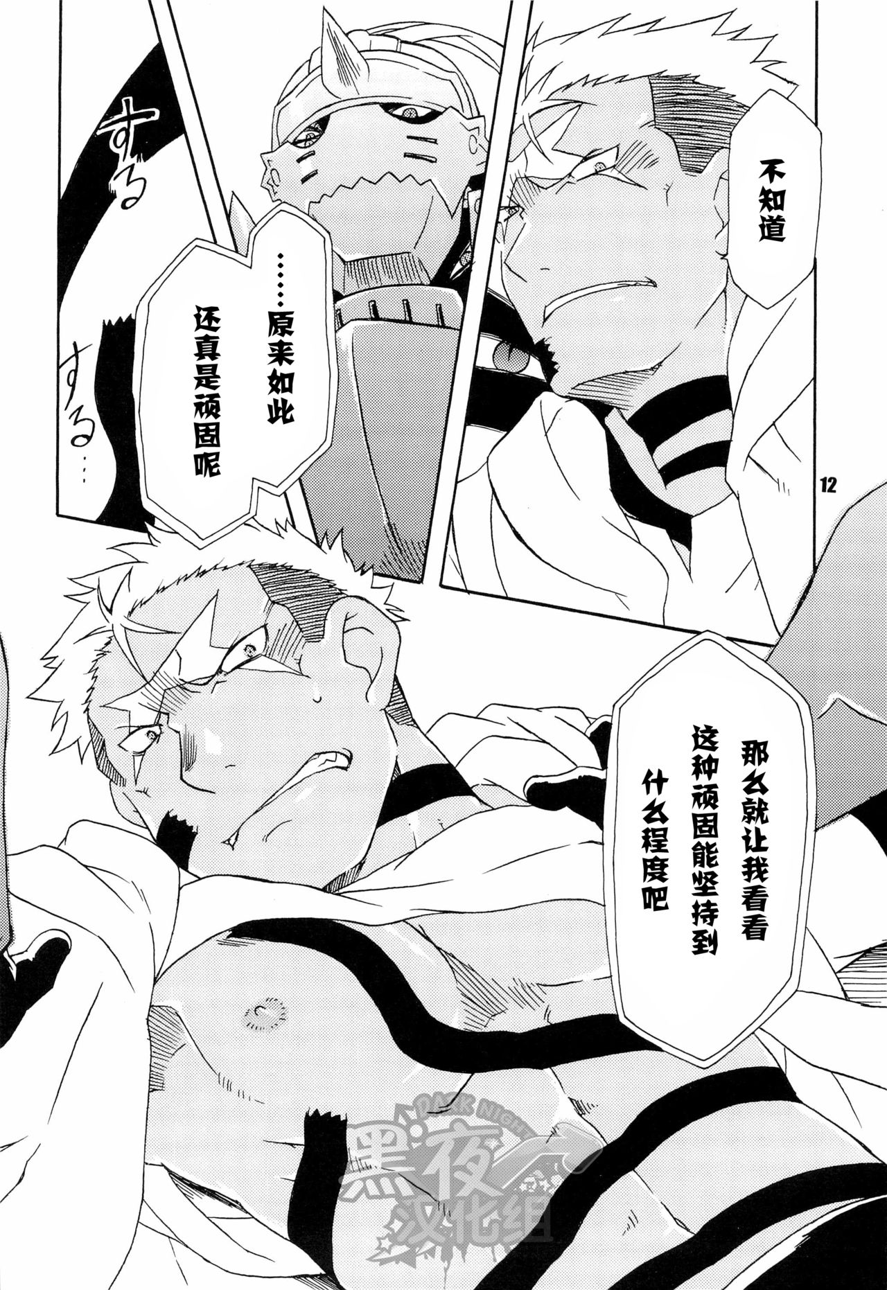 第 12 页