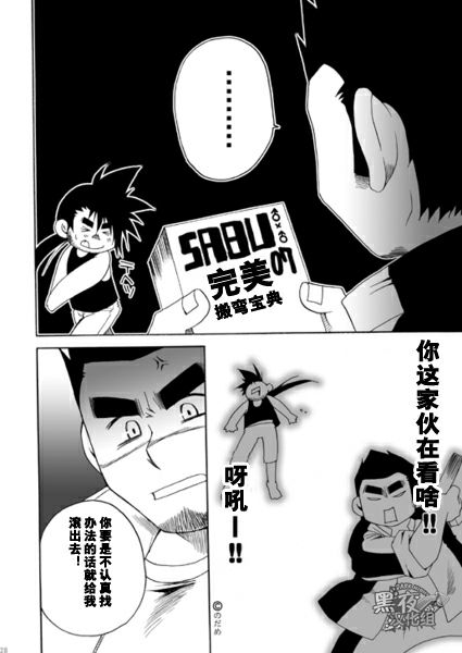 第 26 页