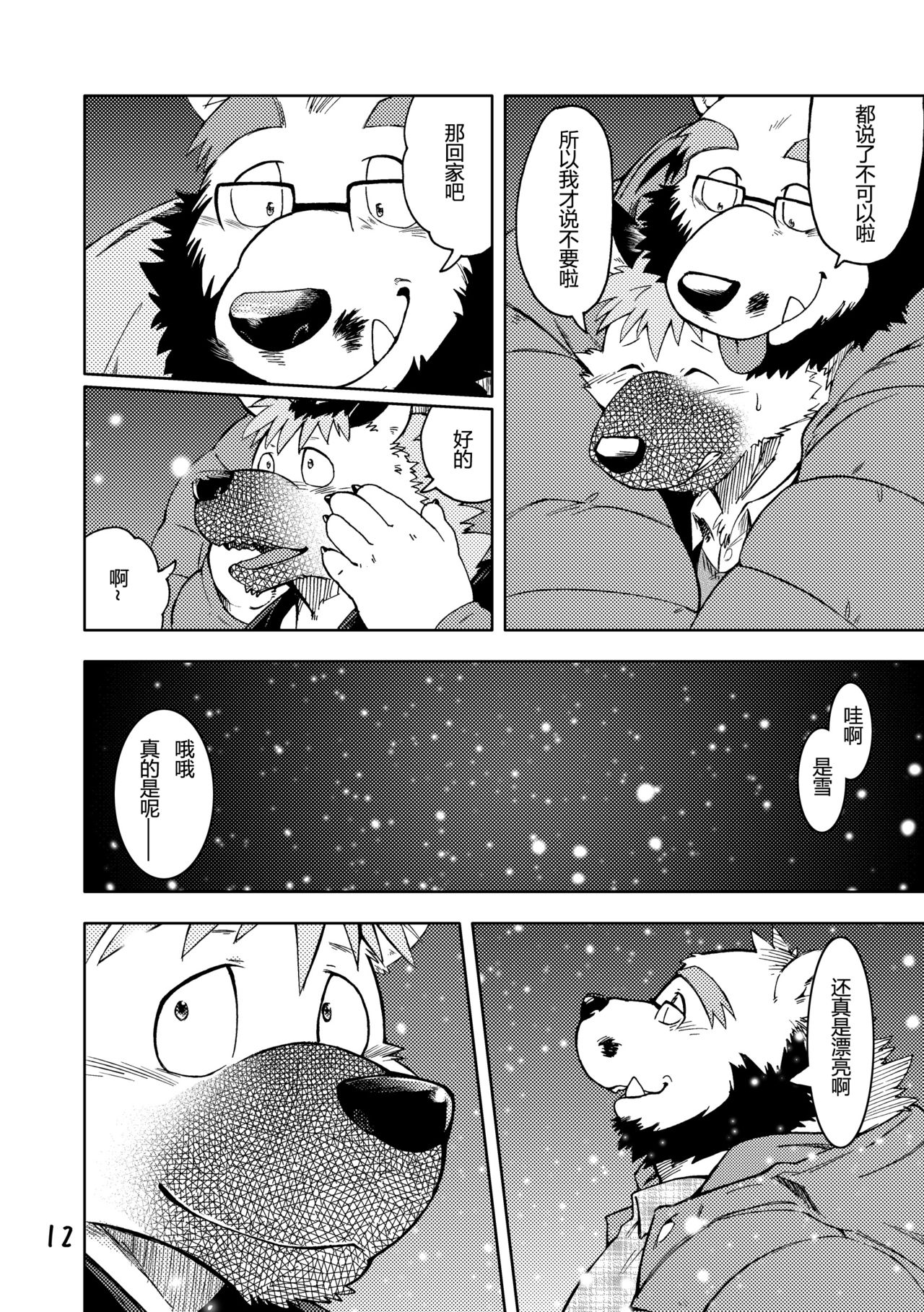 第 13 页