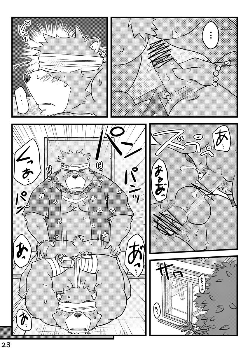 第 21 页